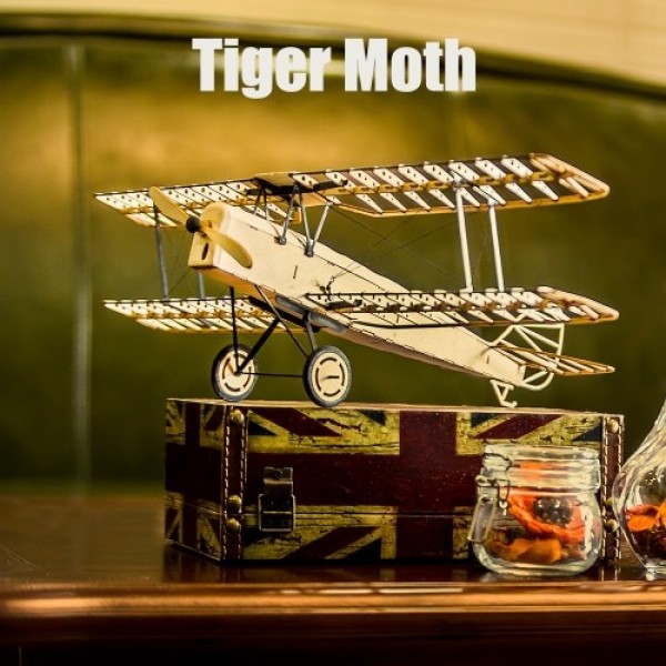 Dancing Wings Hobby VX10 1/18 De Havilland Tiger Moth 400mm Wingspan Wooden Static Airplane Model