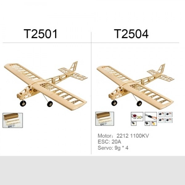 DW Hobby T2501 EP Cloud Dancer Training Plane