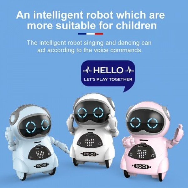 939A Pocket Interactive Dialogue Robot